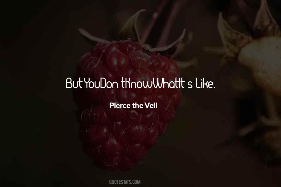 Singhiozzo Ubriaco Quotes #37274