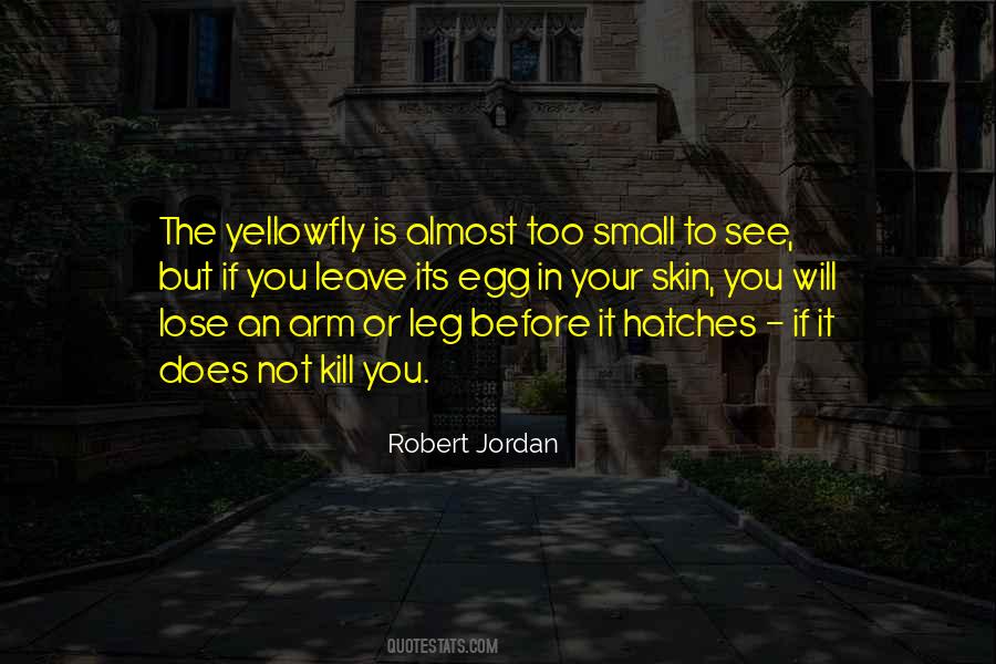Vodopija Slike Quotes #1255108