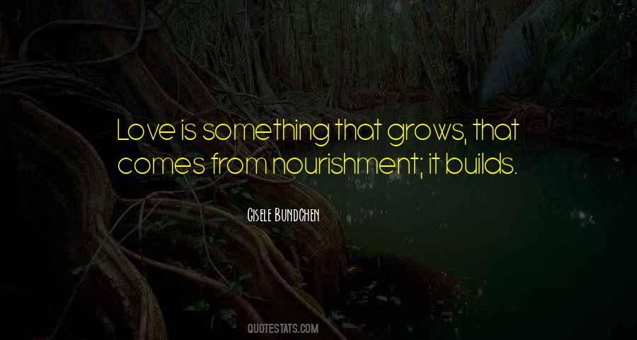 Love Builds Quotes #1033539