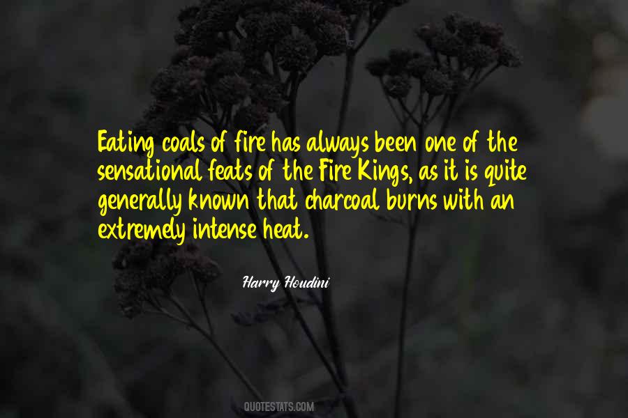 Coals Of Fire Quotes #1359754