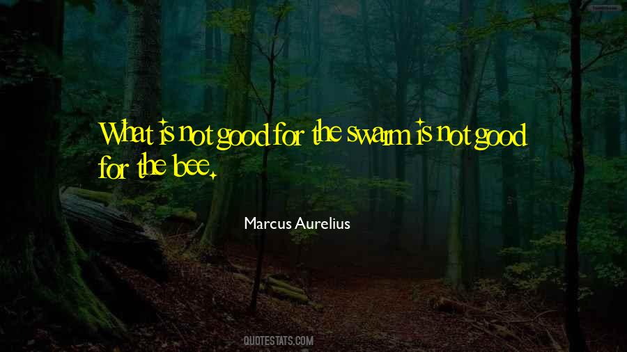 Oberle Enterprises Quotes #616868
