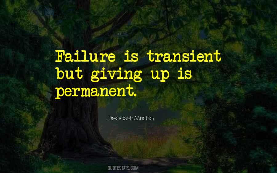 Life Is So Transient Quotes #1127498