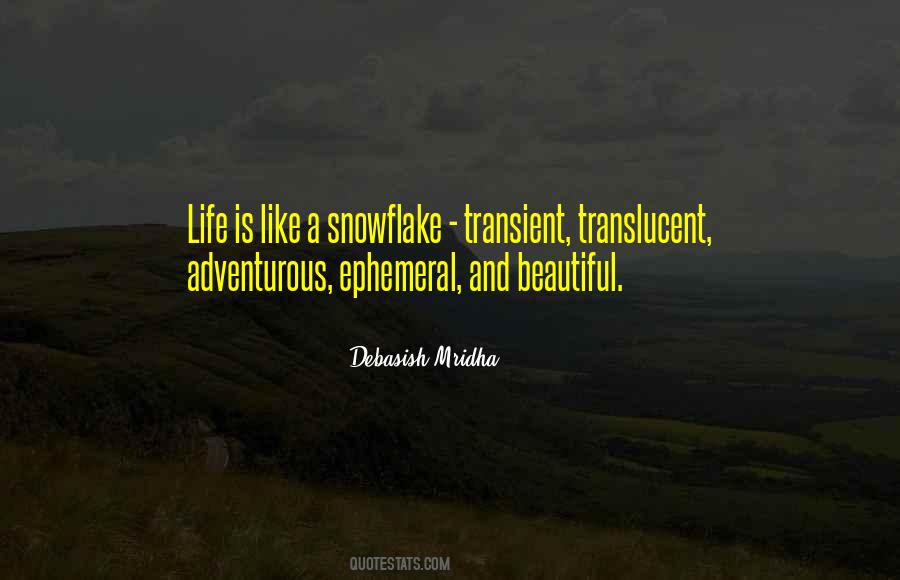 Life Is So Transient Quotes #865064