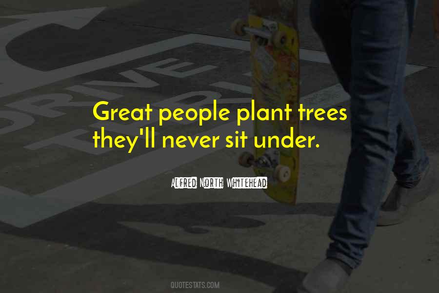 Great Trees Quotes #229272