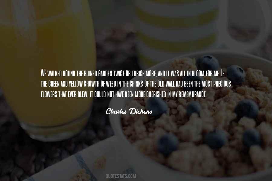 Hamels Foundation Quotes #1563350