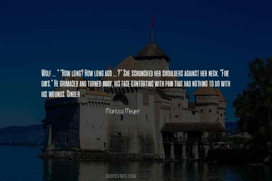 Cinder Marissa Meyer Quotes #198115