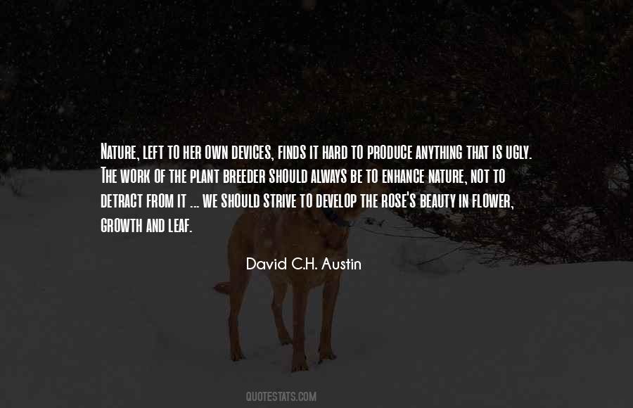 David C Quotes #707962