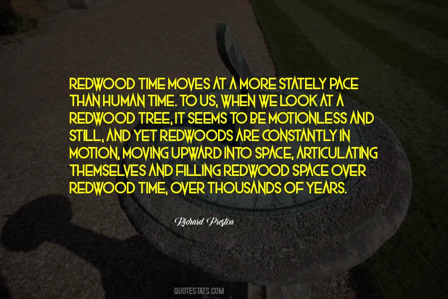 Voraussehen Kennels Quotes #781387