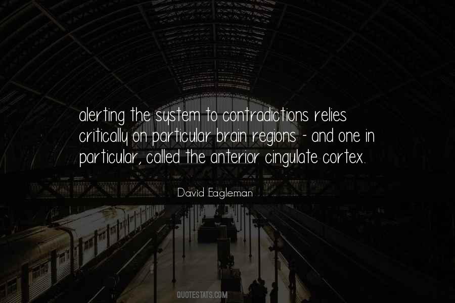 Cingulate Cortex Quotes #693068