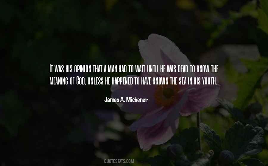 Michener James Quotes #323674
