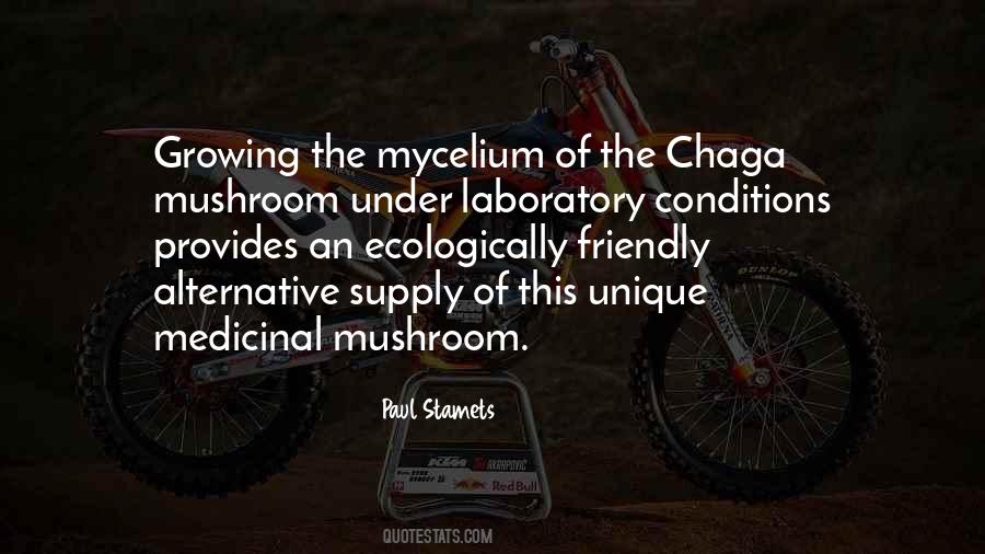 Chaga Mushroom Quotes #968023