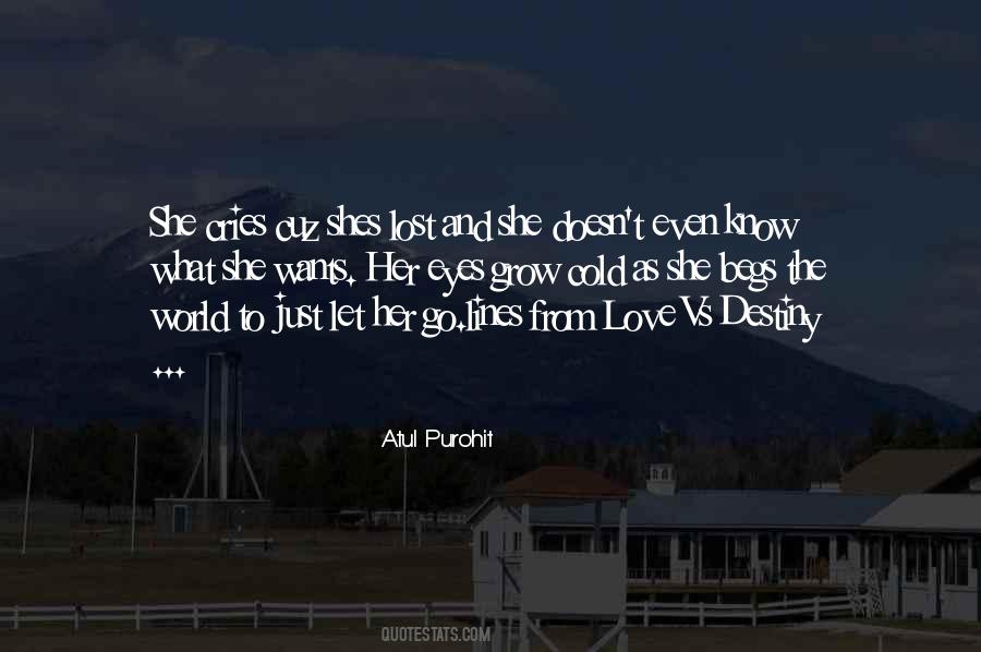 Pizzitola Gutters Quotes #1214553