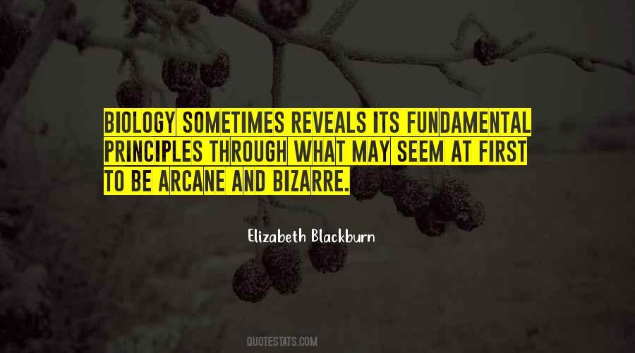 James Holzhauer Quotes #909058