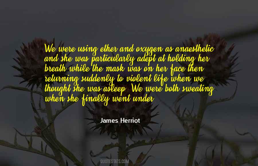 6am Pdt Quotes #332118