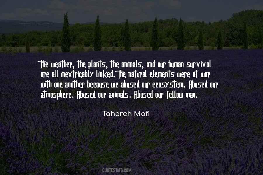 Human And Animals Quotes #15056