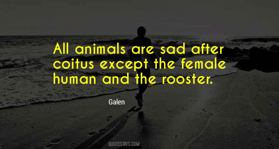 Human And Animals Quotes #480613