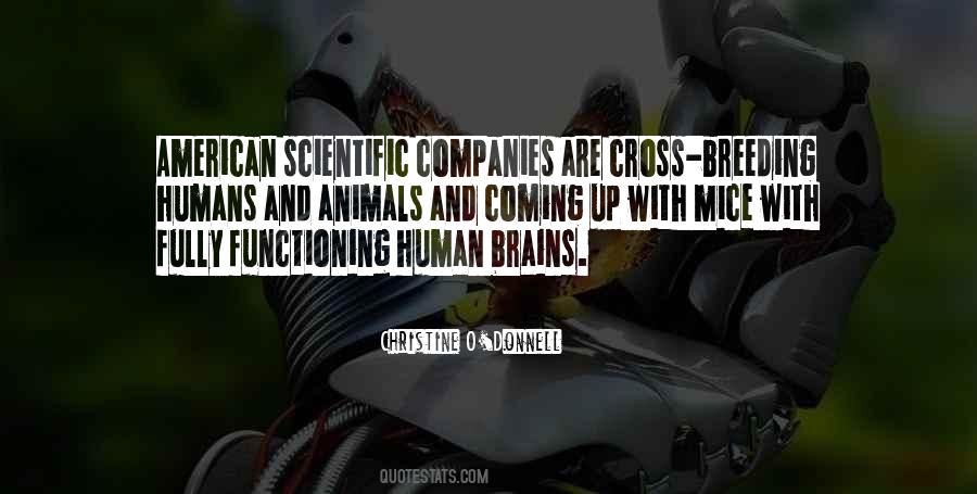 Human And Animals Quotes #505226