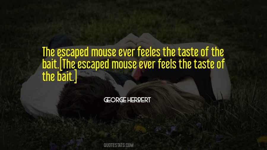 Flamand Roses Quotes #413295