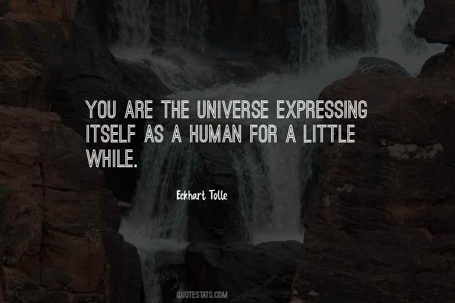 You Are The Universe Quotes #1198152