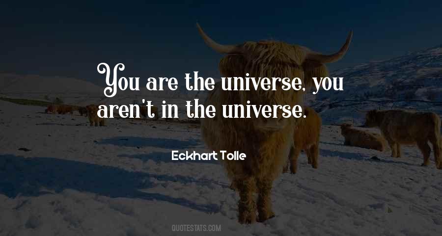 You Are The Universe Quotes #1571864