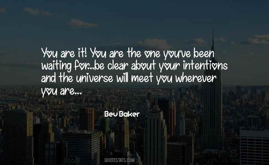 You Are The Universe Quotes #271598
