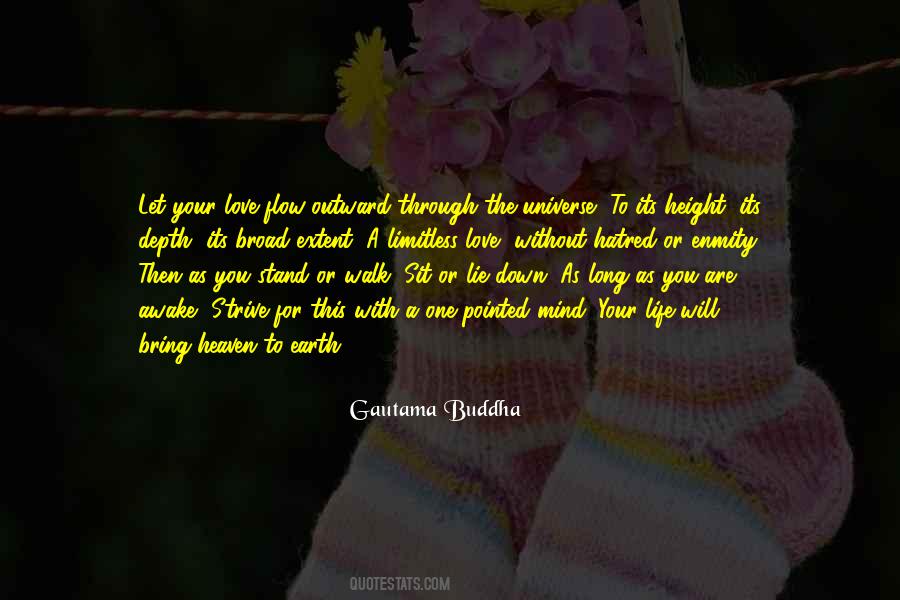 You Are The Universe Quotes #312541