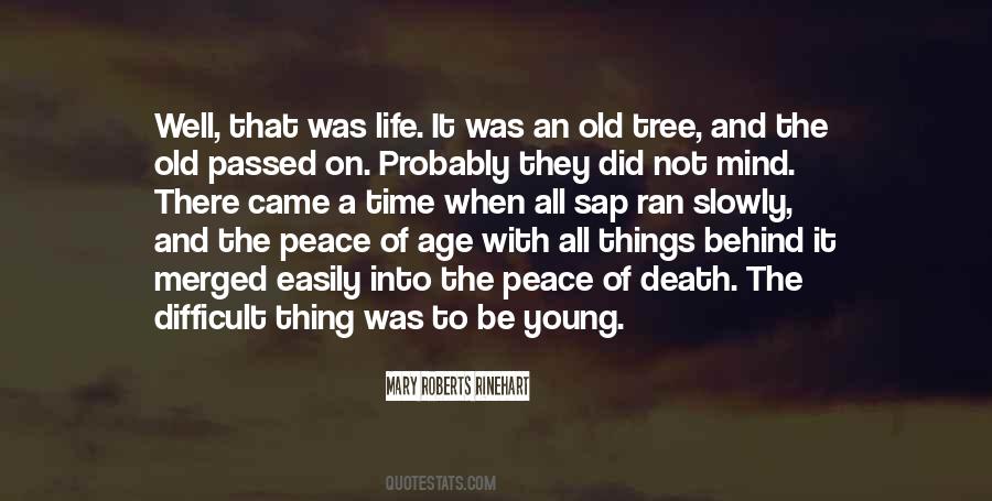 109th And Budlong Quotes #1213478