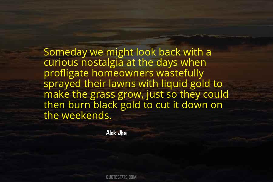 Liquid Gold Quotes #1040379