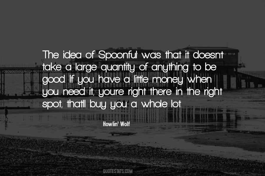 Najmabadi Lincoln Quotes #797864
