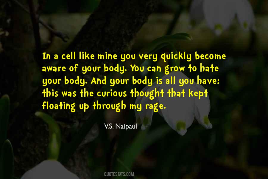 Verpelistoday Quotes #957315
