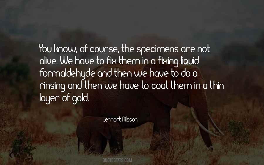 Eytan Stibbe Quotes #467039