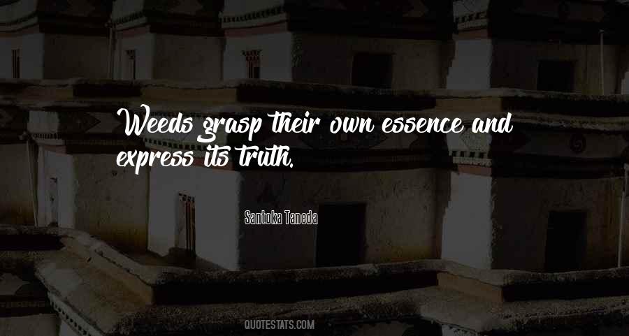 Eytan Stibbe Quotes #567657