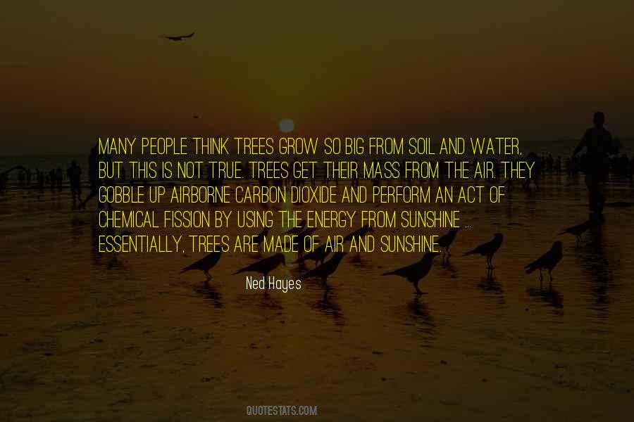 Danniebelle Ordinary Quotes #929765