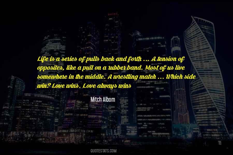 Assailant In A Sentence Quotes #237386