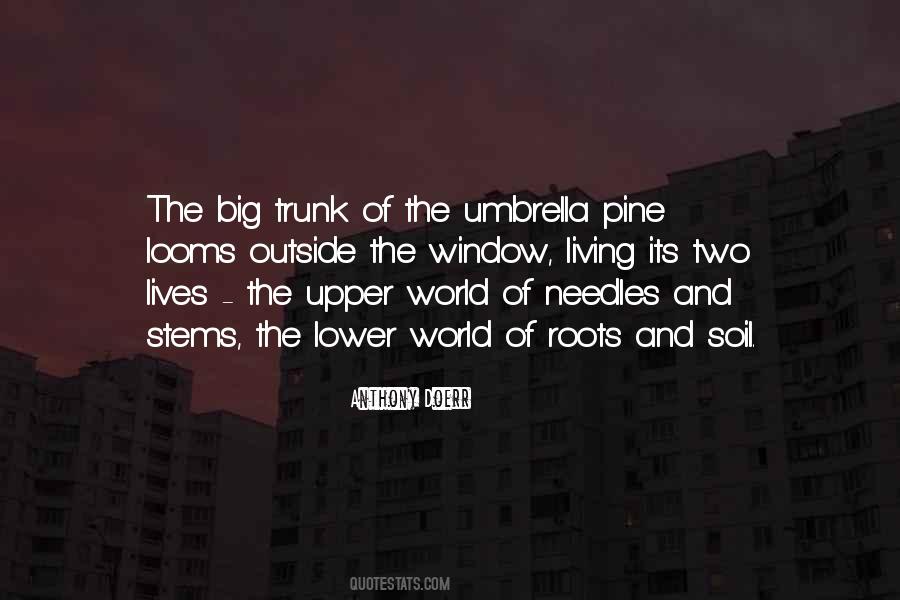 Assailant In A Sentence Quotes #79649