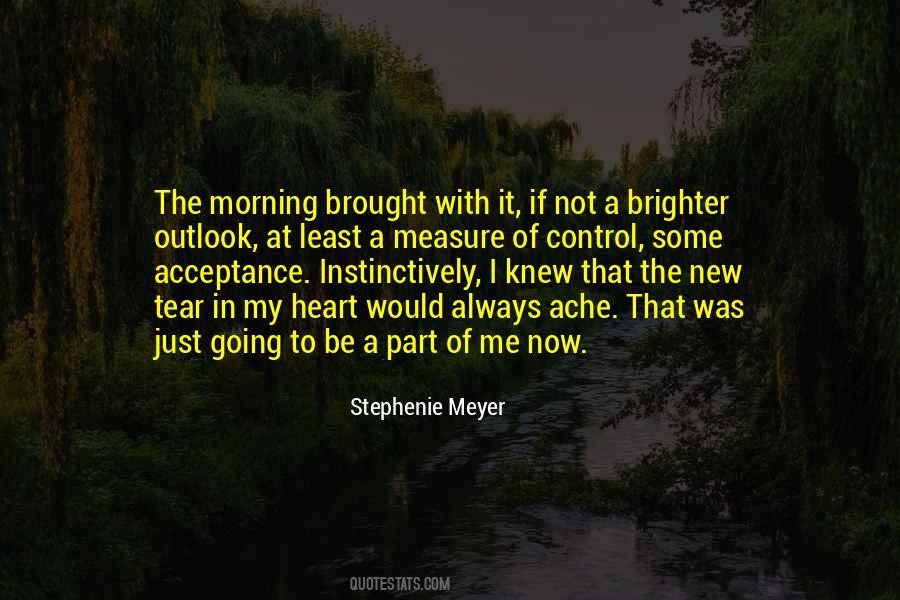 Heart Ache Quotes #1071859