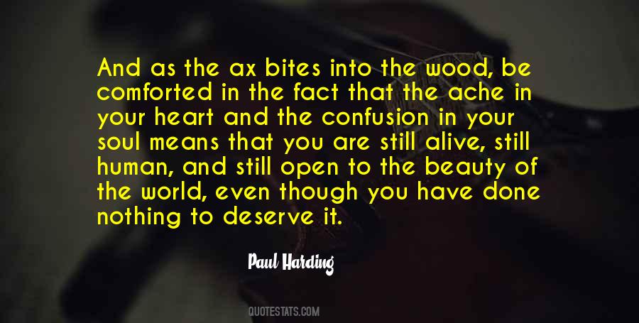 Heart Ache Quotes #367159