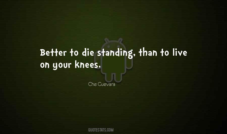 Company Mini Series Quotes #736002