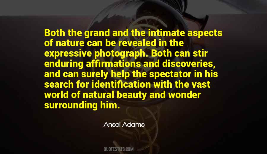 Search Of Beauty Quotes #266701
