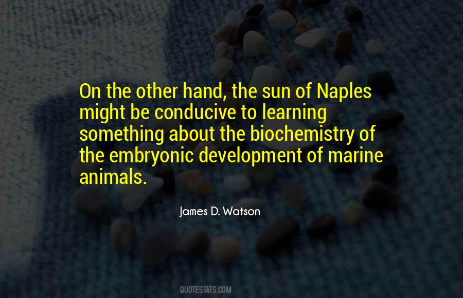 Vjetrahle Quotes #321550