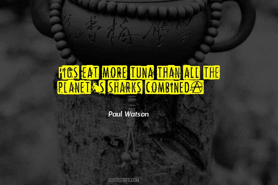 Saddlebags Fat Quotes #145251
