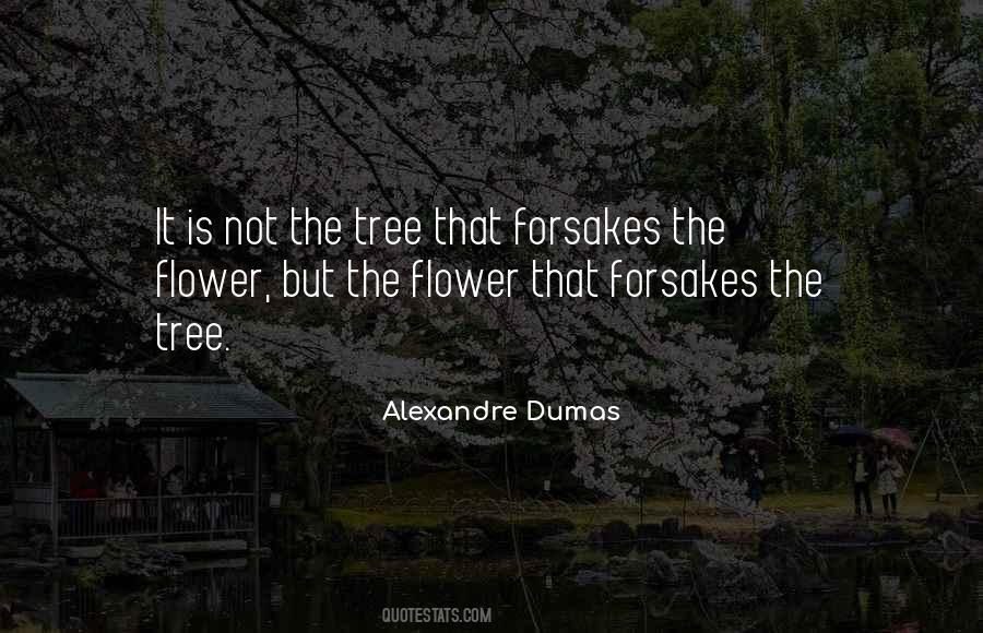 Norcliffe The Highlands Quotes #1711580