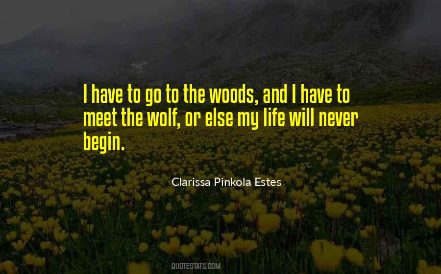 Clarissa Pinkola Quotes #498542