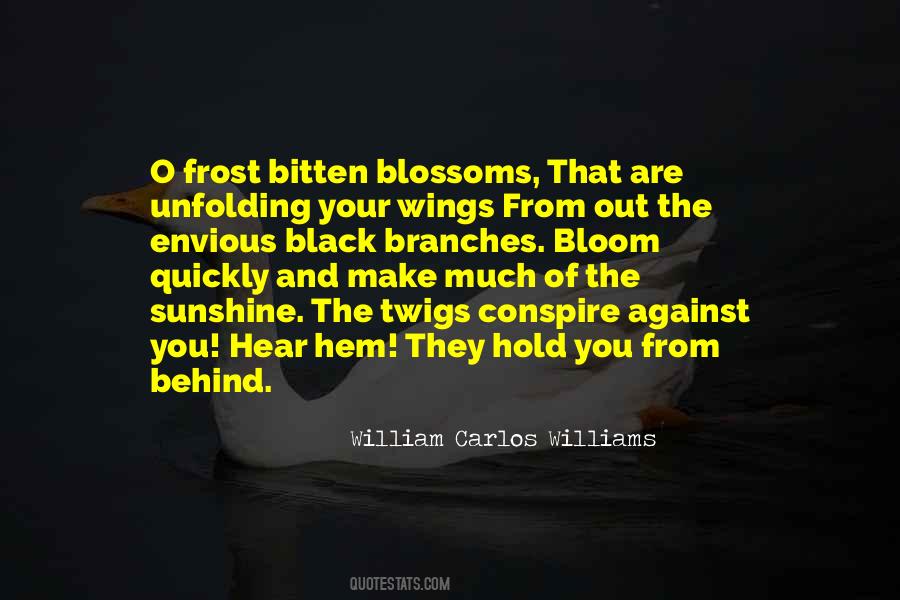 Regenerations Mitchell Quotes #1259015