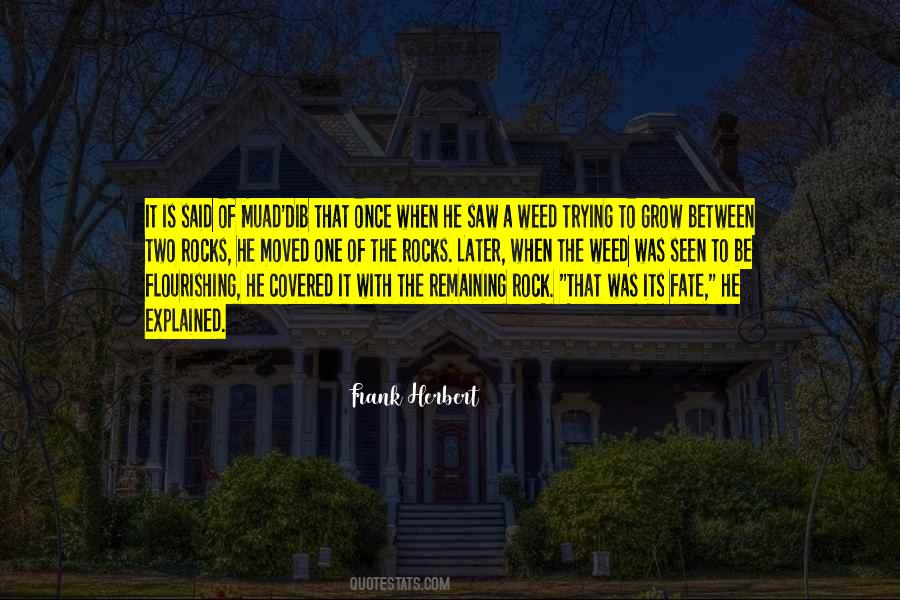 Elyanna Sanchez Quotes #715841