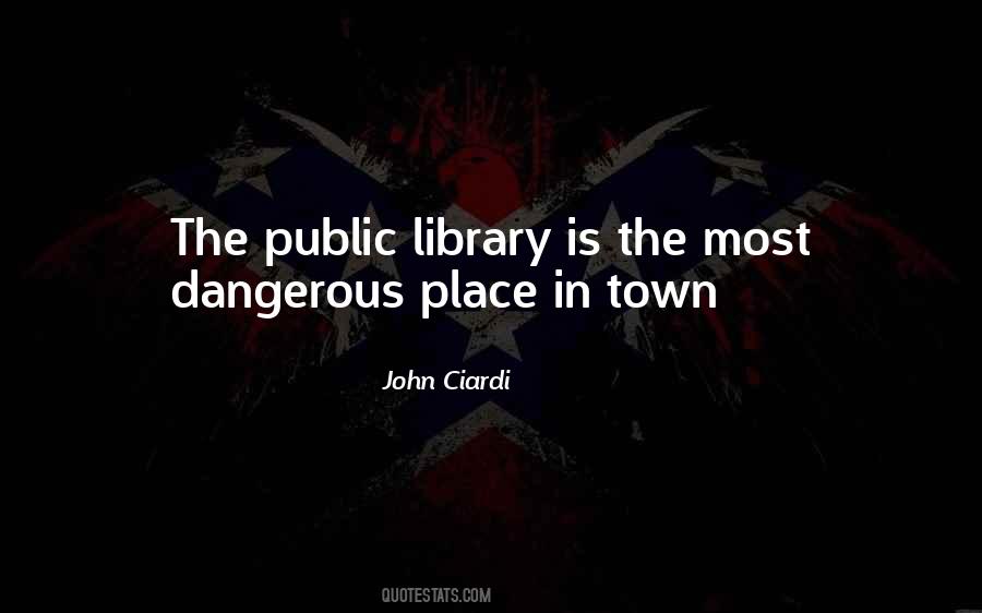 Quotes About The Public Library #953555