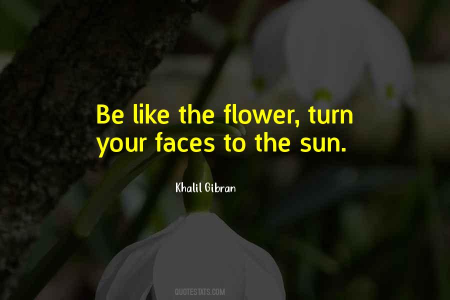 Zaharira Harifai Quotes #1238066