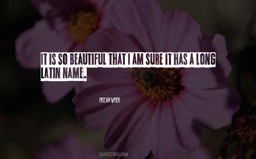 Tocanita De Pipote Quotes #850916