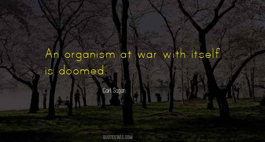 Lefkofsky House Quotes #1316294