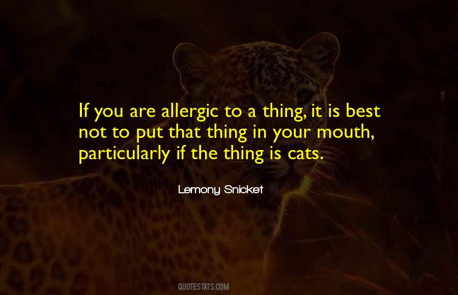 Best Not Quotes #1521218